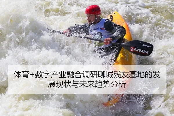 体育+数字产业融合调研聊城残友基地的发展现状与未来趋势分析